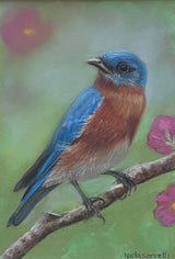 Blue Bird and Flowers