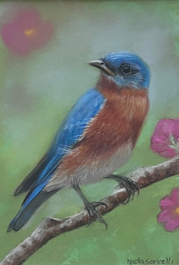 Blue Bird and Flowers