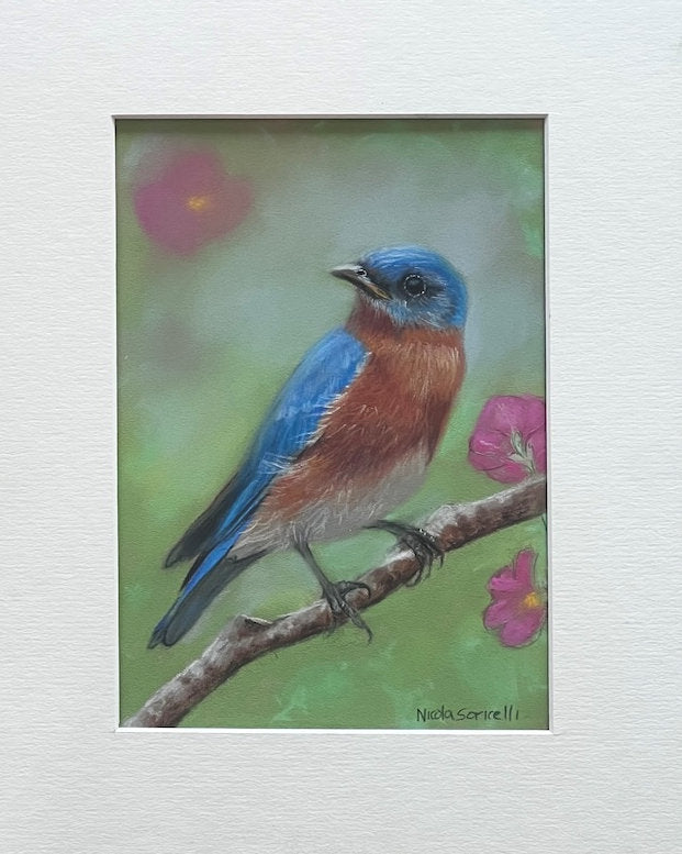 Blue Bird and Flowers